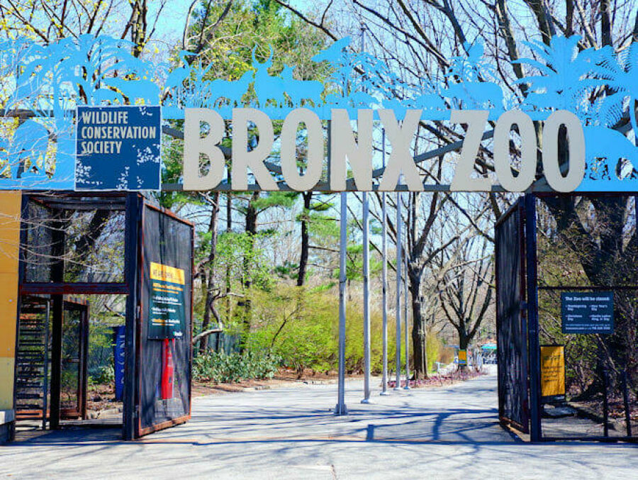 Imagem Zoológico do Bronx